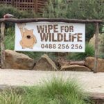 Aimee Garcia Instagram – Wildlife, arcades, street art & breathtaking views … Melbourne you have my heart 💙🐨🌏 Healesville Sanctuary