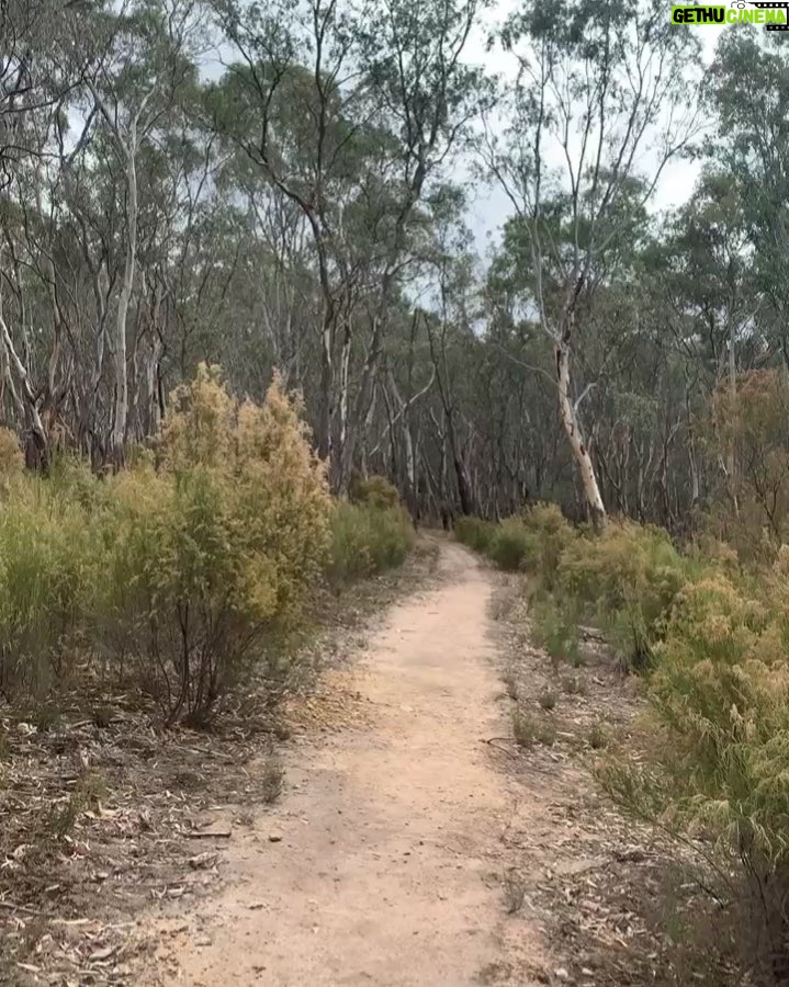 Aimee Garcia Instagram - My Australian adventure in 10 videos ... Melbourne ... you are magic ... your blue penguins, delicious food, epic wildlife, yummy beer, rowdy footy games, pink lakes, outdoor markets, stunning gardens & most importantly amazing people ๐ฆ๐บ๐ซThx to my Aussie mates @jaicourtney & @yvonnestrahovski for the great suggestions. I had HEAPS of fun!! Until we meet again Melbourne ๐ฆ๐บโ๏ธ Melbourne, Victoria, Australia