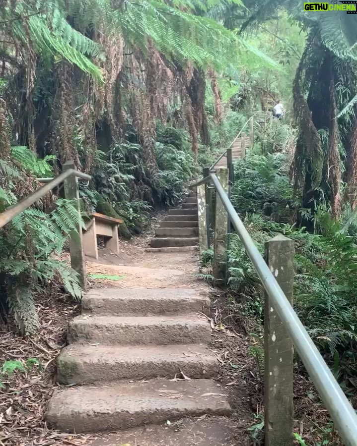 Aimee Garcia Instagram - My Australian adventure in 10 videos ... Melbourne ... you are magic ... your blue penguins, delicious food, epic wildlife, yummy beer, rowdy footy games, pink lakes, outdoor markets, stunning gardens & most importantly amazing people ๐ฆ๐บ๐ซThx to my Aussie mates @jaicourtney & @yvonnestrahovski for the great suggestions. I had HEAPS of fun!! Until we meet again Melbourne ๐ฆ๐บโ๏ธ Melbourne, Victoria, Australia