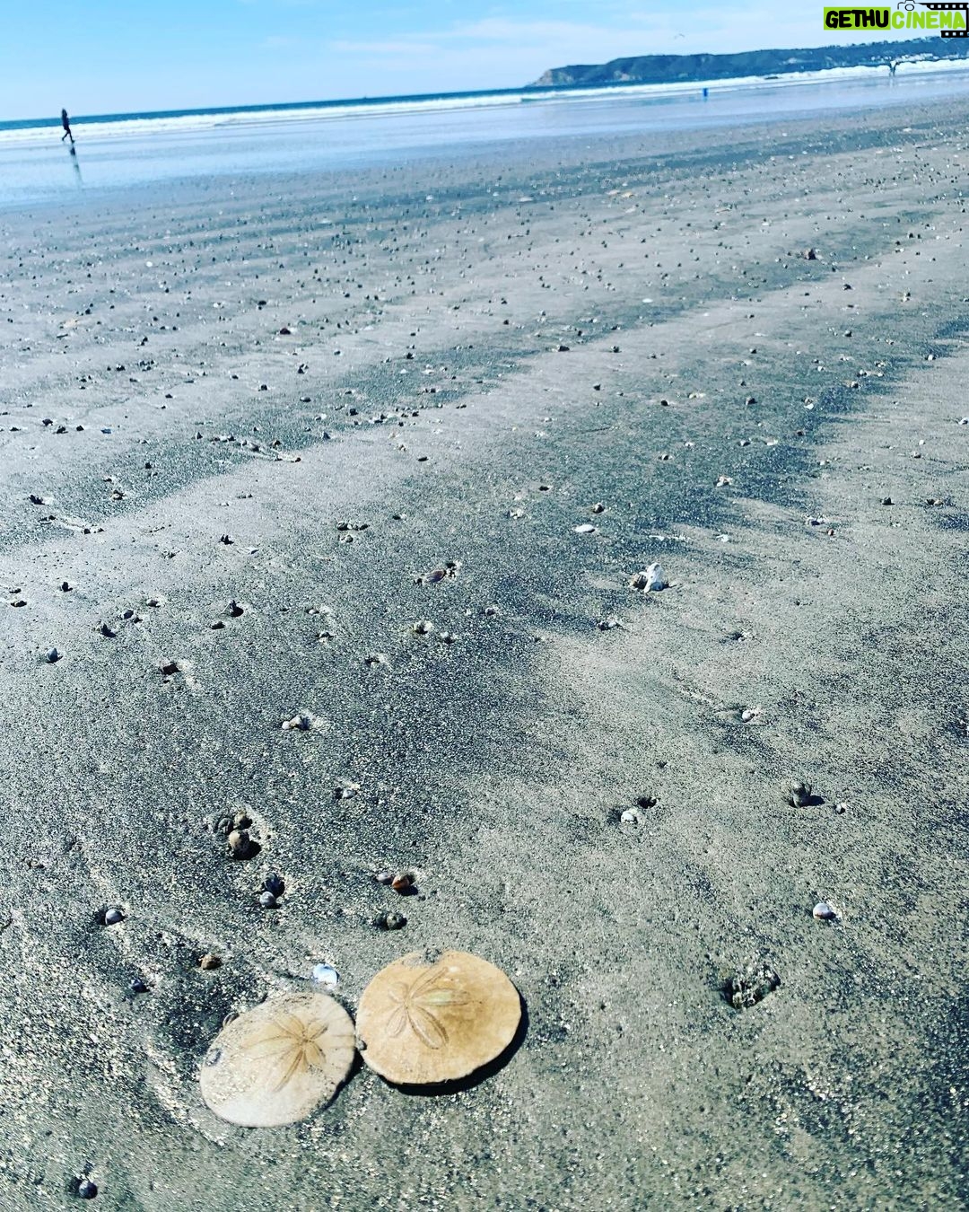Aimee Garcia Instagram - During busy times, busy lives & busy minds … don’t forget to spend time w people you love & places that inspire you 💙