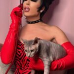Alaska Thunderfuck Instagram – Meow — @dragthemusical is returning to the @bourbonroomhollywood this March 🐈‍⬛ 

Join us for a night filled with fierce rivalries, dazzling love stories, resplendent drag, and maybe even some new songs 🤫 

Get your tickets now using the link in my bio 🐟 Bourbon Room Hollywood