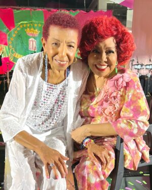 Alcione Instagram - Hoje é aniversário da minha grande amiga, minha irmã @lecibrandao, que merece todas as homenagens e glórias! Saúde e felicidades, Brandão! (Alcione)
