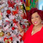 Alcione Instagram - Alô, galera desse Brasil: estou passando aqui para desejar um Feliz Natal para todos vocês! Um grande beijo! (Alcione)