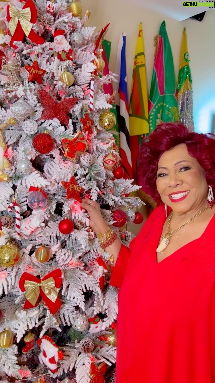 Alcione Instagram - Alô, galera desse Brasil: estou passando aqui para desejar um Feliz Natal para todos vocês! Um grande beijo! (Alcione)