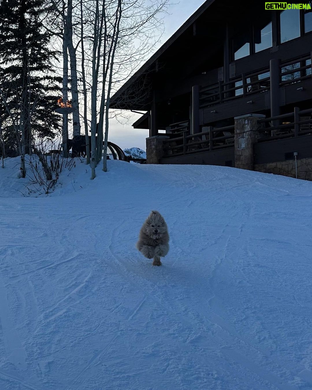Alexandra Cooper Instagram - Although I have no pictures to prove it, I promise I skied
