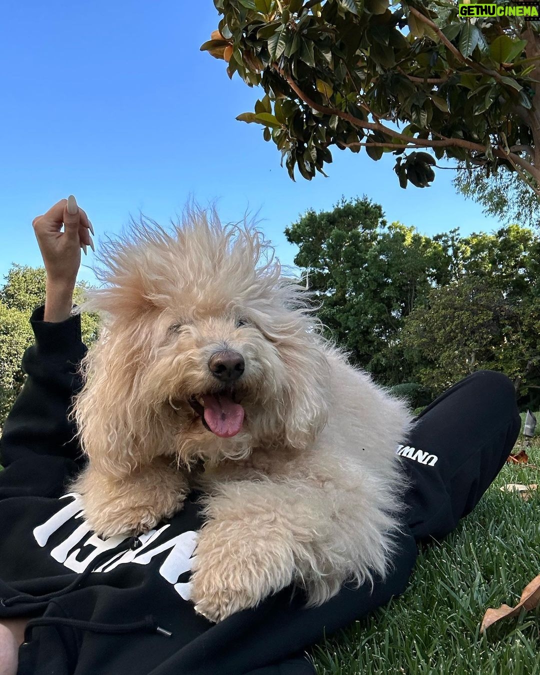 Alexandra Cooper Instagram - coming down from tour is less depressing when I’m coming home to this 🥹😭