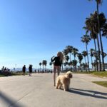 Alexandra Cooper Instagram – a bear at the beach