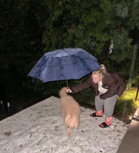 Alexandra Cooper Instagram - i want to come back as my dogs 😂👏