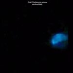 Alexis Nikole Nelson Instagram - BIOLUMINESCENT COMB JELLIES aka CNETOPHORES! 💕 I love them so much, and while I spent many a beach day catching them in buckets as a kid, this trip was my first time getting to see their nighttime light up skills! Thank youuuuu Megan (who led a moonrise kayak trip I took at @massaudubonfelixneck) for teaching me the ways!!! Martha's Vineyard