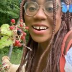 Alexis Nikole Nelson Instagram - Raspberries! Blackberries! Mulberries! Dewberries! Salmonberries! Wineberries! Thimbleberries! All the tasty trail snacks who are one big fruit made up of lil interconnected drupelets!
