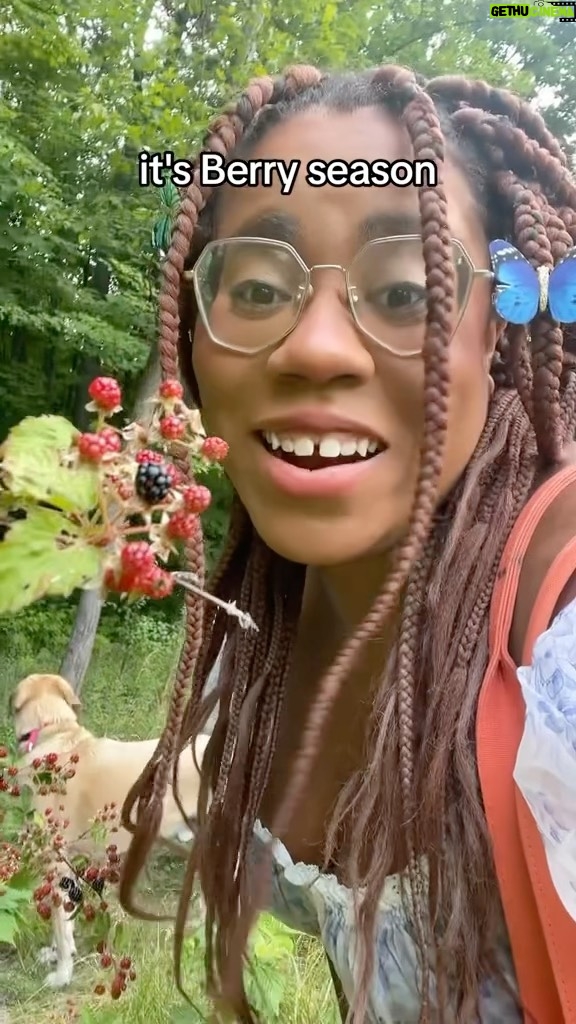 Alexis Nikole Nelson Instagram - Raspberries! Blackberries! Mulberries! Dewberries! Salmonberries! Wineberries! Thimbleberries! All the tasty trail snacks who are one big fruit made up of lil interconnected drupelets!
