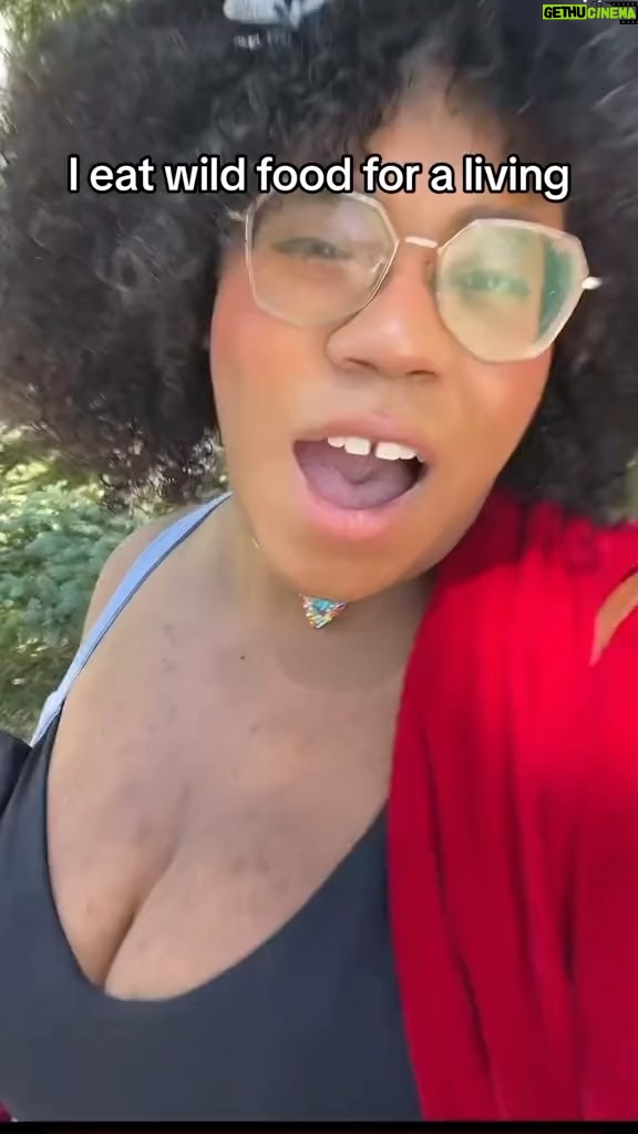 Alexis Nikole Nelson Instagram - Also what a gently rude thing to say when someone just told you they’re here to lead a wild food plant walk!! 🥲😅😅😅