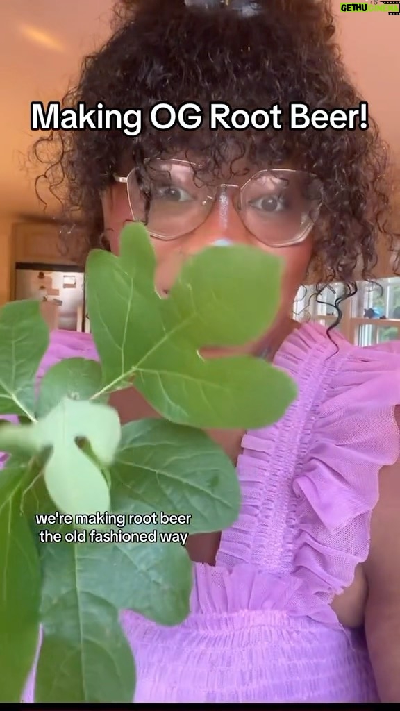 Alexis Nikole Nelson Instagram - Let’s make some OG Root Beer! I Found all of these growing next to each other after a beach day up-island, and when that happens, I feel like you gotta make root beer!!