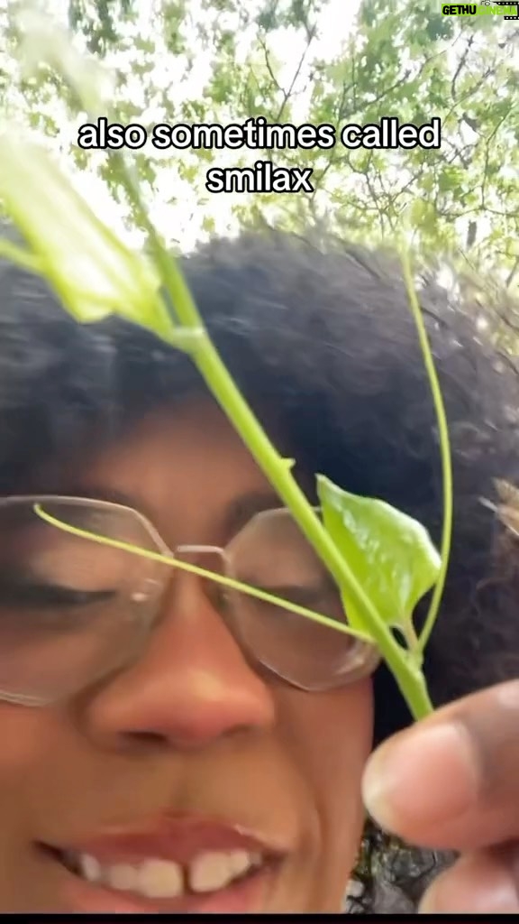 Alexis Nikole Nelson Instagram - FREE WEIRD PICKLES!! Marthas Vineyard