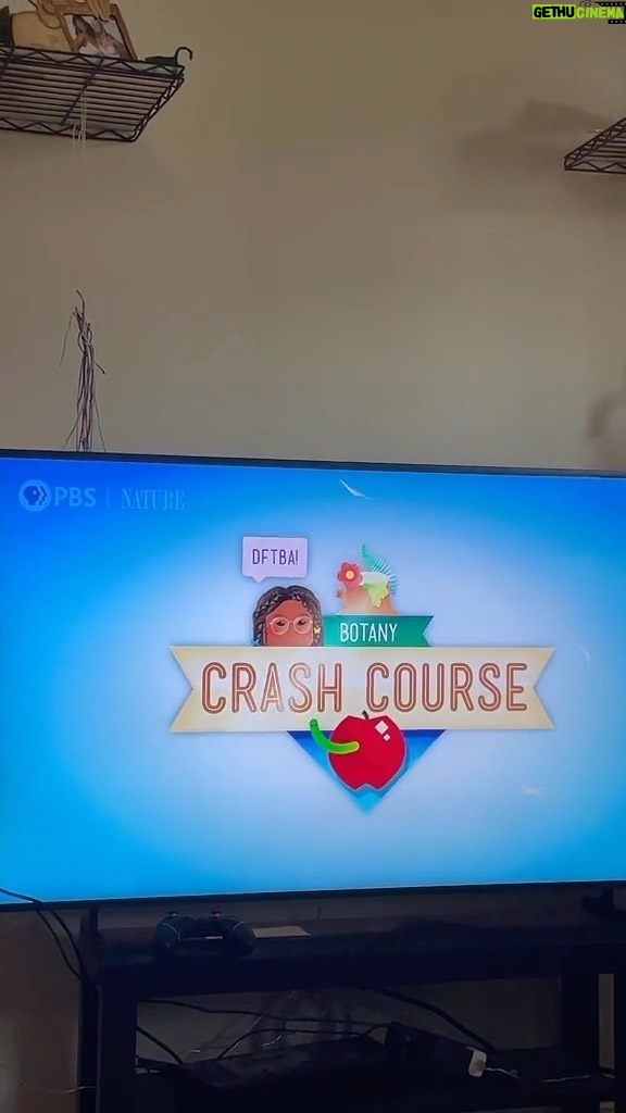Alexis Nikole Nelson Instagram - THE CAT(NIP) IS OUTTA THE BAG! I’m hosting @thecrashcourse Botany!! And the first EP is up now!!