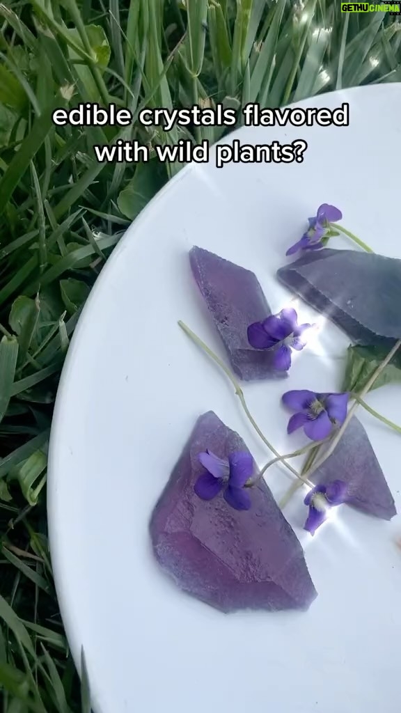 Alexis Nikole Nelson Instagram - WILD KOHAKUTOU ✨ crystals you can CRÖNCH 😋