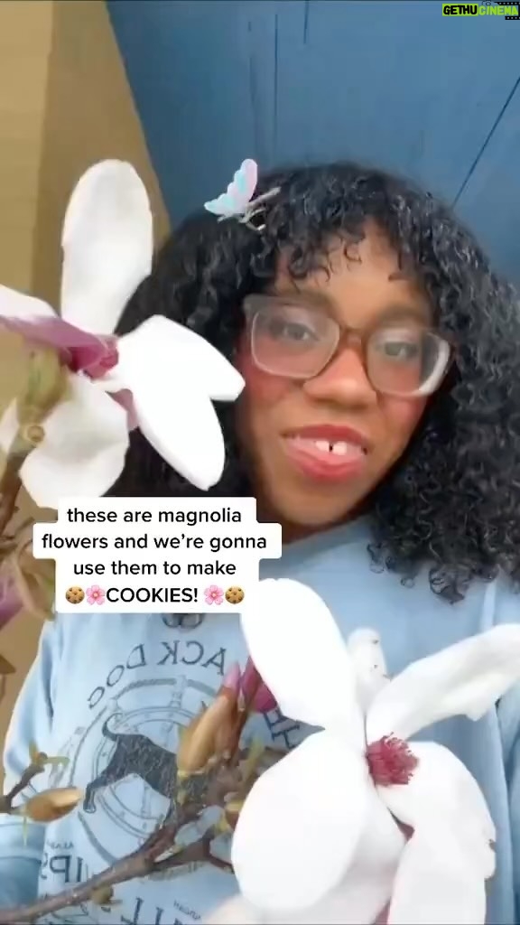 Alexis Nikole Nelson Instagram - MAGNOLIA SNAP COOKIES! ✨ A throwback because every year I miss posting this recipe in time for my friends in the southernmost parts of the US and last year I SET A REMINDER and IT WENT OFF TODAY 🤣 Saucer Magnolia is my fave for this recipe (and usually the easier to find in cities!) BUT Southern and Sweetbay are EXCELLENT in these as well!!