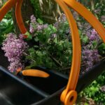 Alexis Nikole Nelson Instagram - Anyone who’s spent time with me outside or in the kitchen knows I love Fiskars tools. Ever since my first pair of classic Orange-handled Scissors (which I still have 20 years later!) I've loved the quality and care that goes into each tool (and even got to meet some of the amazing folks in Finland who make each and everything with love), and their quality means less replacement, making them a sustainable choice I adore. Thanks for helping me #cutthewaste @Fiskars! #Ad #sustainablegardening