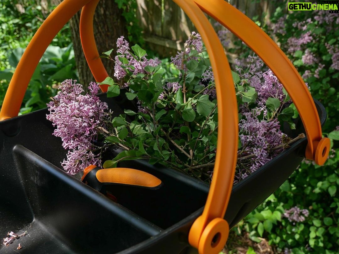 Alexis Nikole Nelson Instagram - Anyone who’s spent time with me outside or in the kitchen knows I love Fiskars tools. Ever since my first pair of classic Orange-handled Scissors (which I still have 20 years later!) I've loved the quality and care that goes into each tool (and even got to meet some of the amazing folks in Finland who make each and everything with love), and their quality means less replacement, making them a sustainable choice I adore. Thanks for helping me #cutthewaste @Fiskars! #Ad #sustainablegardening