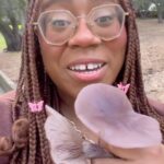 Alexis Nikole Nelson Instagram - I had a BLAST hiking and foraging with @pascalbaudar today!! His knowledge about SoCal plants is truly unmatched (and he’s also amazing at pottery!?) and he’s just genuinely a great human being. We found SO MUCH but I was PUMPED to find these blewits!! Los Angeles, California