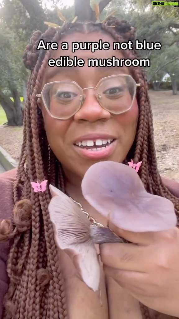 Alexis Nikole Nelson Instagram - I had a BLAST hiking and foraging with @pascalbaudar today!! His knowledge about SoCal plants is truly unmatched (and he’s also amazing at pottery!?) and he’s just genuinely a great human being. We found SO MUCH but I was PUMPED to find these blewits!! Los Angeles, California