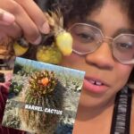 Alexis Nikole Nelson Instagram - CACTUS FRUIT CANDY! 🌵✨ more bounty from my trip to LA!