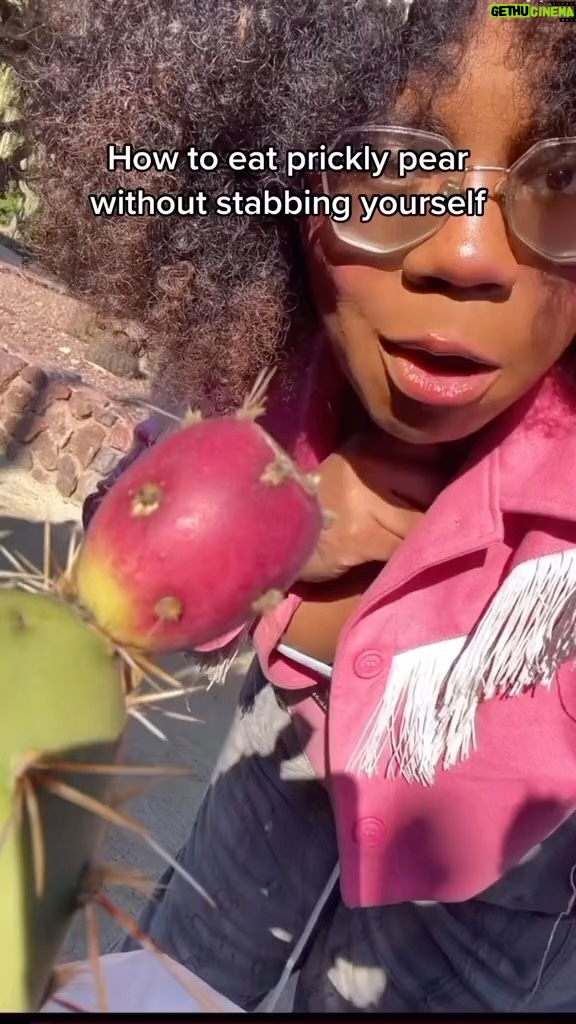 Alexis Nikole Nelson Instagram - GATHERING PRICKLY PEARS/TUNAS 🌵💕
