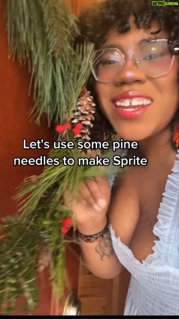 Alexis Nikole Nelson Instagram - THE WHOLE VIDEO THIS TIME 🤣 Conifer needle Sprite! A fun winter ferment, especially if you have boughs left over from wreath making!! Y’all know I love my wild sodas and cordials 🥰✨🌲 Shoutout to @ms_shi_mr_he’s great video on this process!
