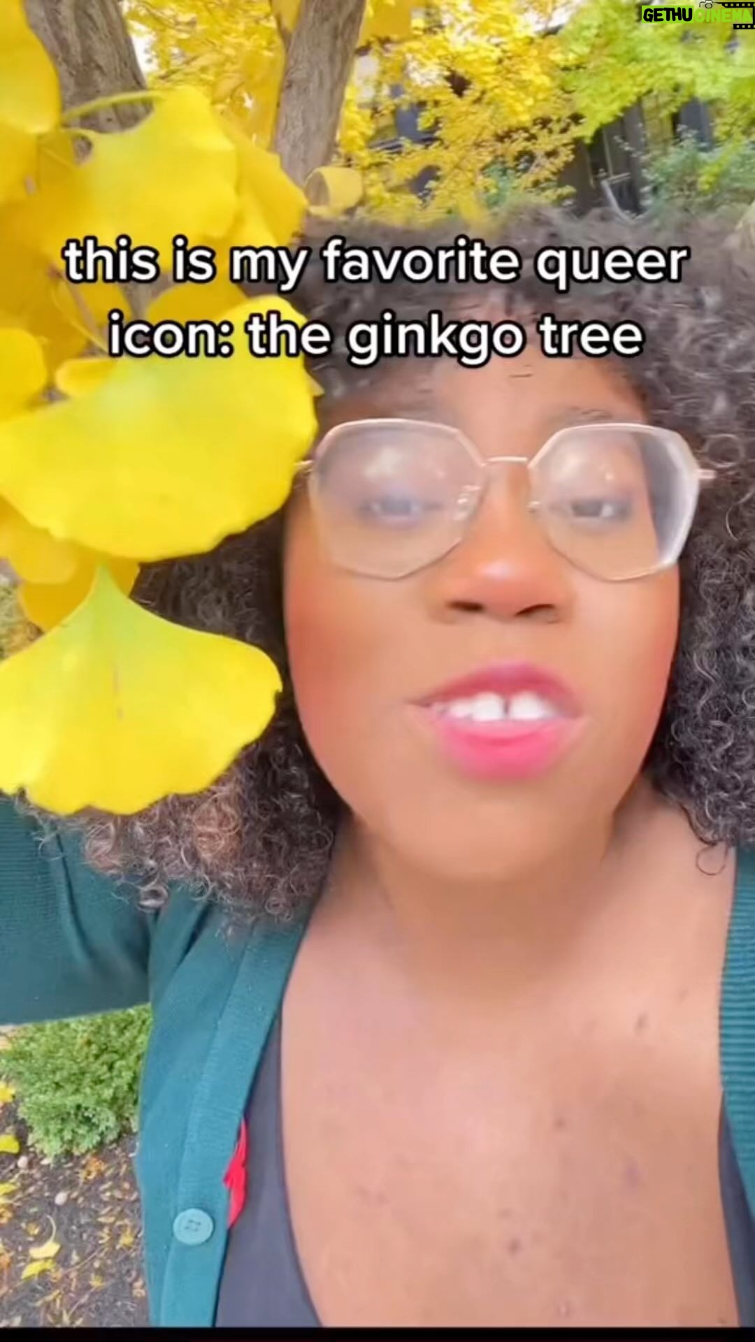 Alexis Nikole Nelson Instagram - GINKGO PARTY 🎉 Columbus, Ohio