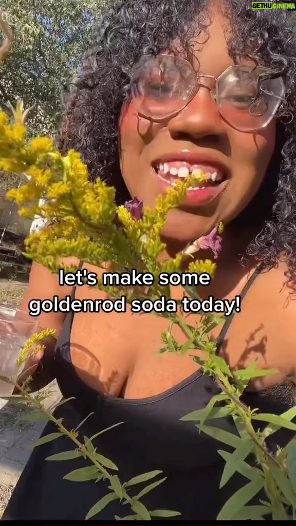 Alexis Nikole Nelson Instagram - Goldenrod soda time!!! A nice, light botanical ferment for when you want something that screams AUTUMN but want a lil break from cider! 🤣