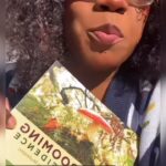 Alexis Nikole Nelson Instagram - Mushroom safety PSA!! 🍄 multiple forms of ID are SO IMPORTANT (honestly for all foraging!) things like time of year, color, smell, feel, etc all factor when I’m finding snacks out in le wilds! Also YALL, BE NICE. Projectile vomiting is punishment enough!! We’re all learning every day 💕