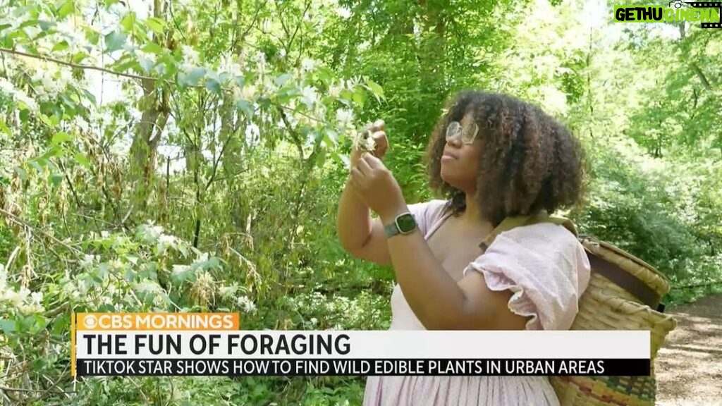Alexis Nikole Nelson Instagram - Alexis Nikole Nelson (@blackforager) is teaching the internet how to safely forage for food — for free. She says seeking out mushrooms, plants and weeds for meals helps her feel “connected” to the environment, adding she wants to see a world where everyone feels “entitled to the outdoors.”