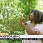 Alexis Nikole Nelson Instagram - Alexis Nikole Nelson (@blackforager) is teaching the internet how to safely forage for food — for free. She says seeking out mushrooms, plants and weeds for meals helps her feel “connected” to the environment, adding she wants to see a world where everyone feels “entitled to the outdoors.”