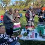 Alexis Nikole Nelson Instagram – Happy #indigenouspeoplesday to all of the indigenous land and water protectors, culture and language preservers, colonization resisters, who exemplify what land stewardship could and should look like worldwide.
This weekend the @prairieislandindiancommunity hosted @linda.black.elk, Sam Thayer, @mnforager, and @foragerchef, and I. we got to partake in harvesting Wapato, Sagittaria latifolia (some of the elders grew up calling them Rat Potatoes after the muskrats that also enjoy them! And though i think I’m spelling it wrong, it’s Dakota name psį́n ćiŋćá or child of the rice is both botanically accurate as many were growing beneath stalks of wild rice AND IT IS JUST AN ADORABLE NAME 😭❤️)
The act of gathering and talking and laughing and getting muddy together was truly heart and mind medicine that I didn’t realize I needed. We aren’t built to forage and survive alone ❤️
Thank you so much @nmbuckss and @prairieislandindiancommunity for welcoming me with the warmest hearts, thank you @linda.black.elk and Luke Black Elk for ALWAYS teaching me so dang much and for celebrating with me when I FINALLY found my first tuber (which is why I look so silly and giddy in that first pic!! 😆) Also FCK CHRISTOPHER COLUMBUS ☺️ Prairie Island Indian Community