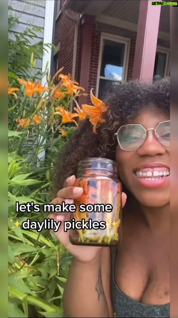 Alexis Nikole Nelson Instagram - Daylily pickle ft. The dumbest joke I’ve ever made hiding at the end 🤣🤣🤣 Columbus, Ohio