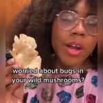 Alexis Nikole Nelson Instagram - I get TONS of questions about how I clean what I forage, so here ya go! 💕 this or around 1 part vinegar to 5 parts water is how I clean most finds AND how I clean store-bought produce! That food wasn’t grown in a vacuum either! 🤣 Columbus, Ohio