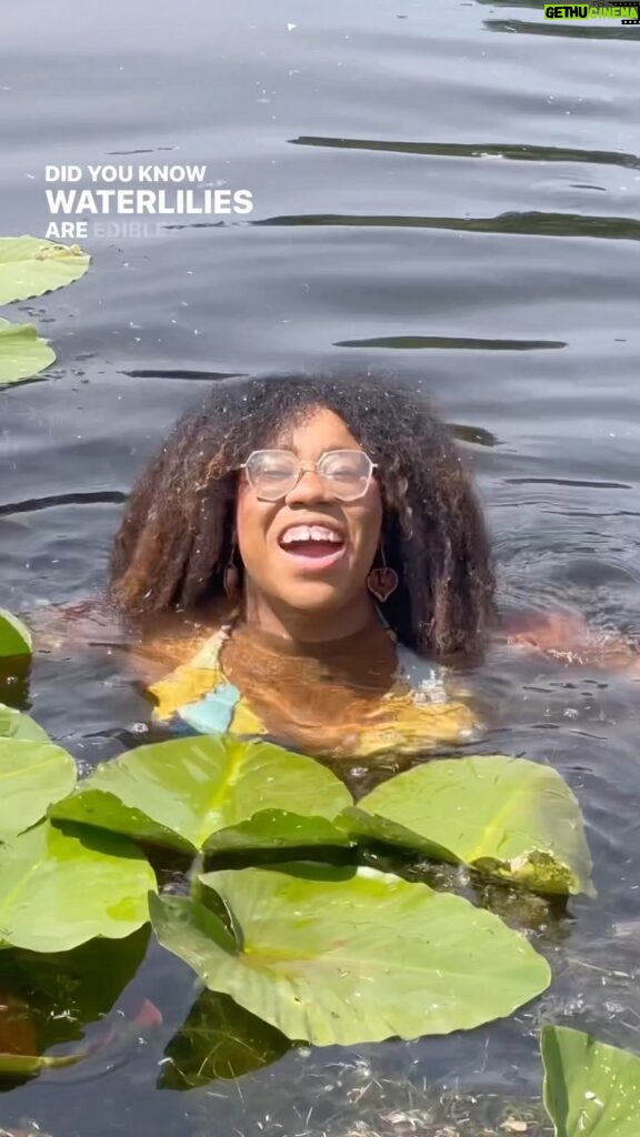 Alexis Nikole Nelson Instagram - The sole tiktok I made during the Great Lakes Foragers Gathering (I was too busy learning, teaching, snacking, making new friends, and frolicking to make any more!) I’m glad I was surrounded by nature and kindred spirits when the Roe news dropped, otherwise I probably would’ve spiraled harder than I already did… as a 30 year old with a busy schedule, who is (at least currently) planning on remaining childless, I’m scared. I’m taking some time to sit with my feelings, while also reflecting on the moments of sheer joy I managed to find among friends, both human and plant, this past weekend. For anyone worried about animals in the pond, the fish were nice and I gave the snapping turtle Maurice his space 😅 also according to my buddy Sam Thayer, snappers don’t really bite in the water anyway (unless you, like, step on them 😆)