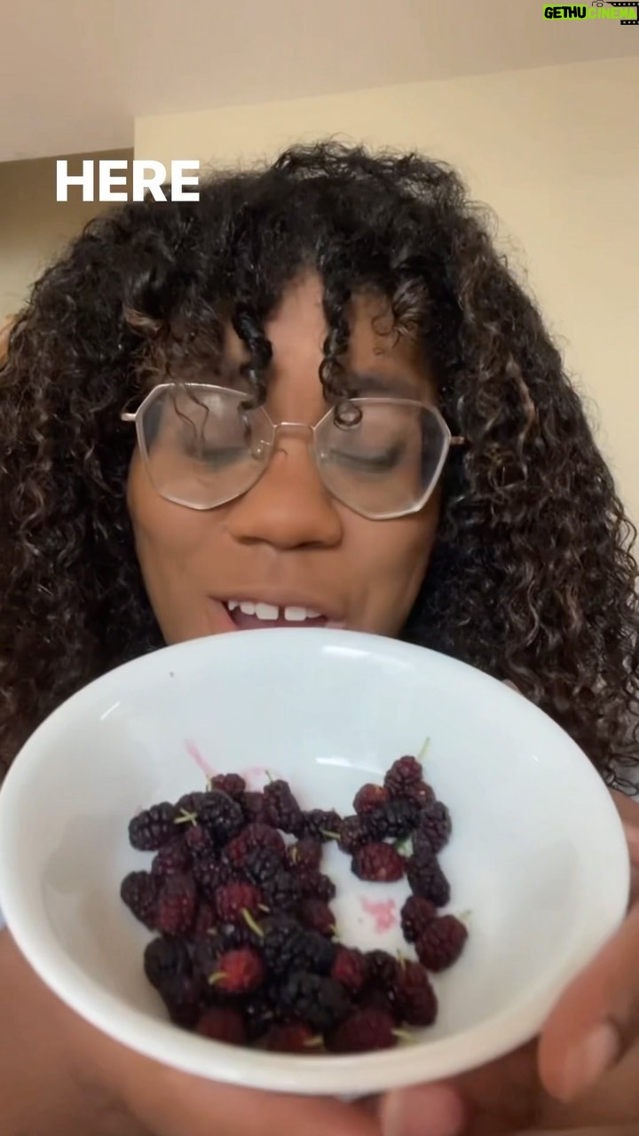 Alexis Nikole Nelson Instagram - Tis the season for MULBERRIES so I tried MULBERRY MAKEUP šš also my mom told me a bird pooping on you means good luck?? 𤣠Iām just worried it also means salmonella! Columbus, Ohio