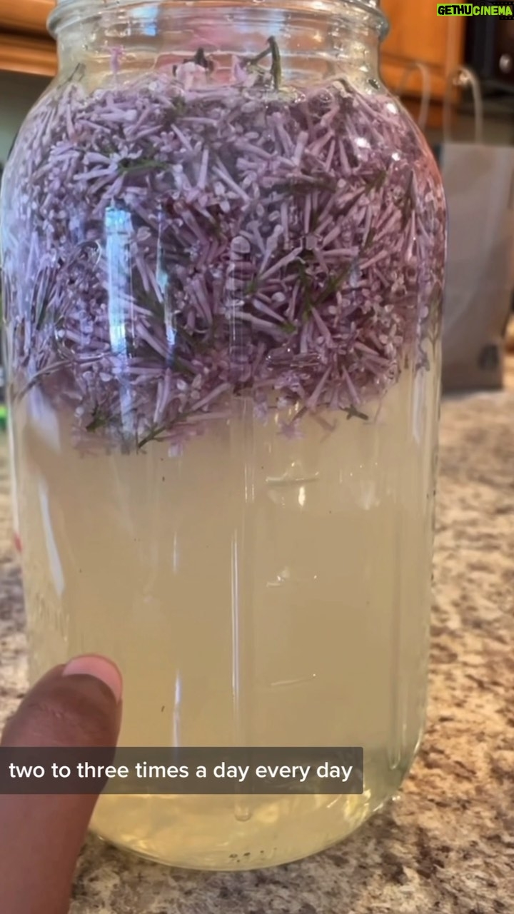 Alexis Nikole Nelson Instagram - ITS FIZZY FLOWER DRINK SEASON!!! 🌸🌸🌸✨