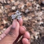 Alexis Nikole Nelson Instagram - IT IS FINALLY OFFICIALLY SPRING 🌼🌞💕🌿 these lil guys tend to sneak past me each year as I’m eagerly awaiting Virginia Bluebells and Cutleaf Toothwort and Ramps, but this year I finally saw them up close and personal!! Welcome back growth! Welcome back sun! Welcome back warmth! Welcome, welcome, welcome! 💗✨ Columbus, Ohio