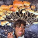 Alexis Nikole Nelson Instagram – ENOKI 🍄 (Flammulina velutipes) – a wintertime fave, are finally popping at some of my spots! A tasty snack I foraged well into February this past winter!

#wildfoodlove #foragedfood #enoki #flammulinavelutipes Ohio