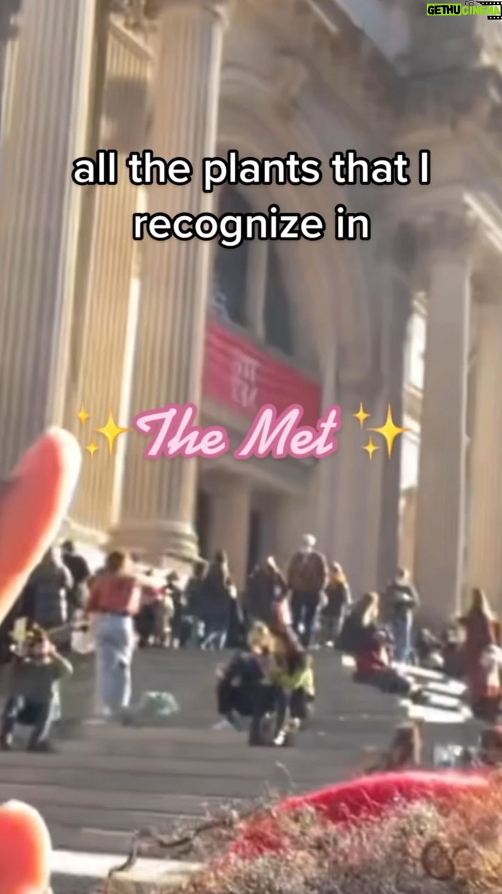 Alexis Nikole Nelson Instagram - This is not sponsored by the Met it’s sponsored by my love of art history through extremely niche lenses