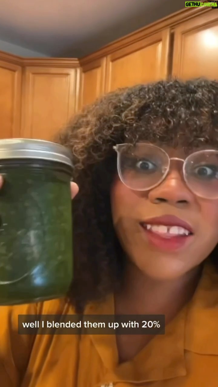 Alexis Nikole Nelson Instagram - GREEN BOUILLON THINGY š When I see @garbonsai do a cool thing⦠it makes me also want to do a cool thing⦠so I did the cool thing. Also no need to panic fellow Ohioans!! I filmed this a week ago! And forgot to post it š¤£
