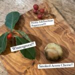 Alexis Nikole Nelson Instagram - ACORN CHEESE. FRIENDSHIP. FORAGED FOOD. FUN. CRYING A LITTLE BECAUSE OF HOW GOOD THE ACORN CHEESE IS. When @the_c_u_r_b Introduced me to the minds behind @honeybadgerbk, within minutes it felt like having dinner with a group of old friends. Junayd and Fjölla are these bright and shining humans, with so much love in their hearts for people and for foraged food!! I was lucky enough to dine at Honey Badger last night with @sophia_roe, and the multi course meal was nothing short of inspirational. I wish I had stronger words to describe it!! It made me simultaneously want to stay in that cozy cabin forever, living the rest of my life transported by food to familiar places, familiar times; and also made me want to run all the way home to Ohio and leap into the kitchen ready to concoct and process and mix and ferment and PLAY! I could write an entire essay on the experience (I will, but I won’t make y’all read it unless you wanna), but I just needed to scream about how phenomenal wild food can be. How phenomenal it IS. Shoutout to @edible.excursions (who forages for Honey Badger and is also an all around sweet bean!) and @mallorylodonnell who has foraged for them in the past, who I can’t have pushki without thinking of! I’ll mention one last thing. Nothing has made me more excited for winter than the magnolia aperitif with which we opened the meal. The first taste transports you to the chilly day in early spring, closing your eyes to take that first inhale of the first magnolia of the year, and suddenly the months of dark, the months of rest make sense. Okay I’m tearing up writing this because I’m a GOOBER, so I’m gonna call it here! If you read this far, I love you, thank you for listening, go to Honey Badger if you’re able. If you didn’t read this far, HOW WILL YOU KNOW I LOVE YOUUUUUUUUUUU Brooklyn, New York