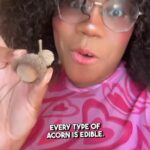 Alexis Nikole Nelson Instagram – Dotorimuk!! Acorn jelly is truly one of my fave foods, and I made mine extra thiccc this year and LOVED how noodle-adjacent the jelly strips ended up!
I got so many GREAT questions when I asked what y’all wanted to know about acorn eating, and tried to answer a TON of them in this video! 🐿️💕