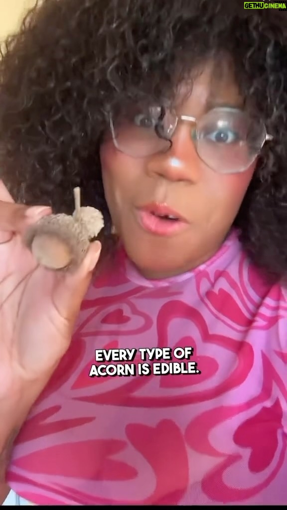 Alexis Nikole Nelson Instagram - Dotorimuk!! Acorn jelly is truly one of my fave foods, and I made mine extra thiccc this year and LOVED how noodle-adjacent the jelly strips ended up! I got so many GREAT questions when I asked what y’all wanted to know about acorn eating, and tried to answer a TON of them in this video! 🐿💕