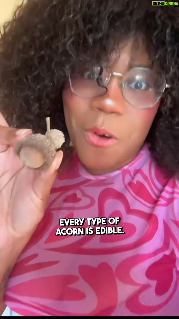 Alexis Nikole Nelson Instagram - Dotorimuk!! Acorn jelly is truly one of my fave foods, and I made mine extra thiccc this year and LOVED how noodle-adjacent the jelly strips ended up! I got so many GREAT questions when I asked what y’all wanted to know about acorn eating, and tried to answer a TON of them in this video! 🐿️💕