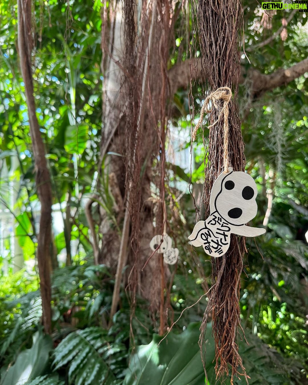 Alexis Nikole Nelson Instagram - First Japan photo dump ft. Tokyo and also Ghibli Park (no one was taking pics in the Princess Kaguya section which was so confusing to me!!??) and also the umeboshi onigiri π that I ate pretty much every day Ueno Park, Tokyo, Japan