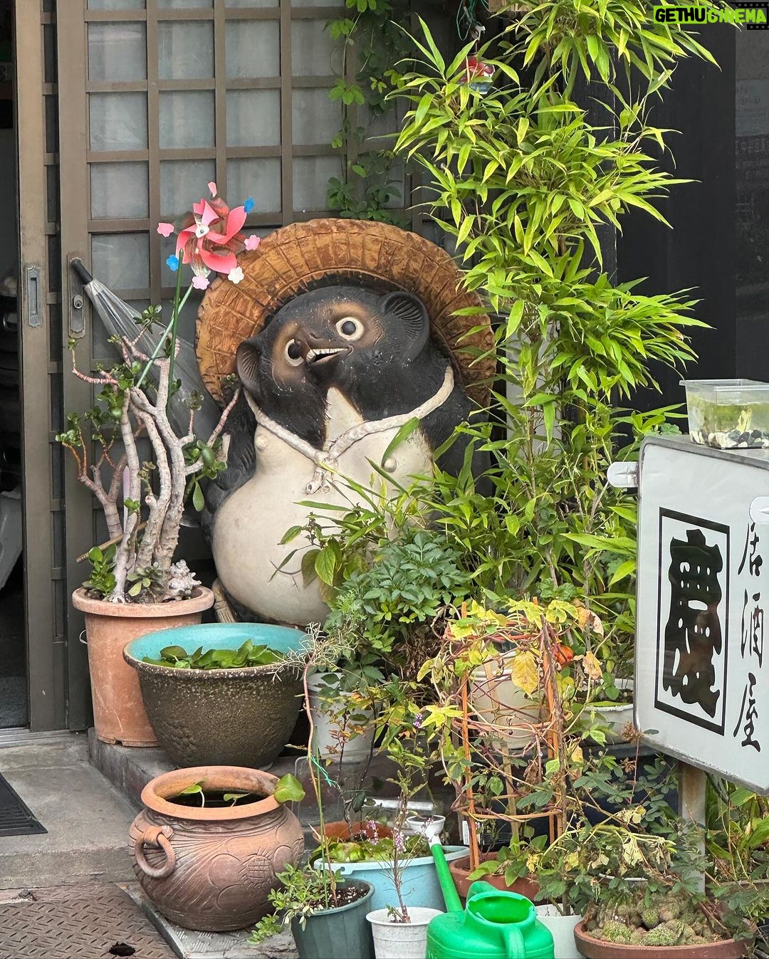 Alexis Nikole Nelson Instagram - First Japan photo dump ft. Tokyo and also Ghibli Park (no one was taking pics in the Princess Kaguya section which was so confusing to me!!??) and also the umeboshi onigiri π that I ate pretty much every day Ueno Park, Tokyo, Japan