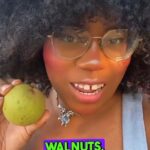 Alexis Nikole Nelson Instagram - The lazy gal’s guide to BLACK WALNUTS 🐿️ Columbus, Ohio